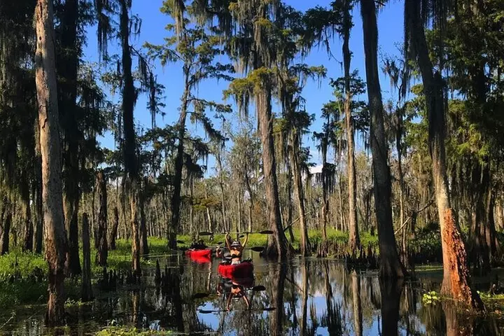 Whitney Plantation and Manchac Swamp Kayak Tour Combo