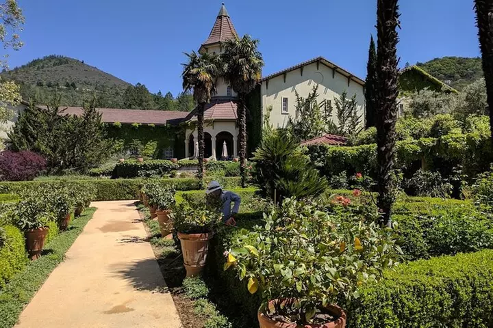 6 Hour Private Wine Country Tour (Sedan, SUV or Limo)