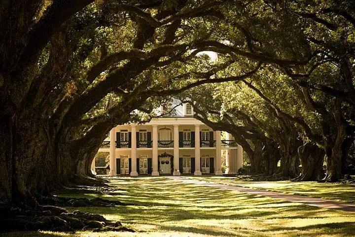 Oak Alley Plantation Half-Day Tour from New Orleans