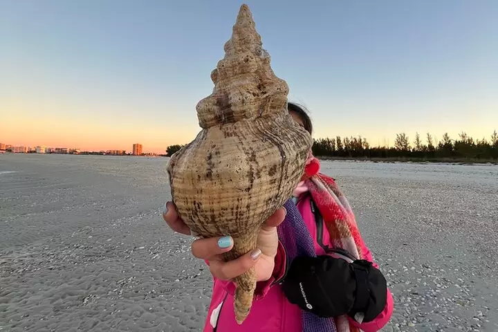 4 Hour Kice Island Shelling Trip