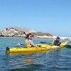 Image 6: Kayak Tour on the Canning River
