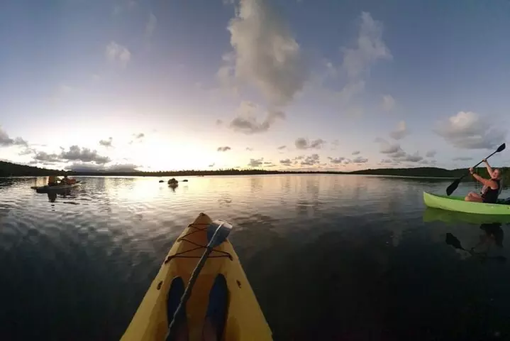 Fajardo Bioluminescent Bay Night Kayak Adventure from San Juan - Primary Image