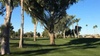 Online Booking - Round of Golf at Sunland Village Golf Club