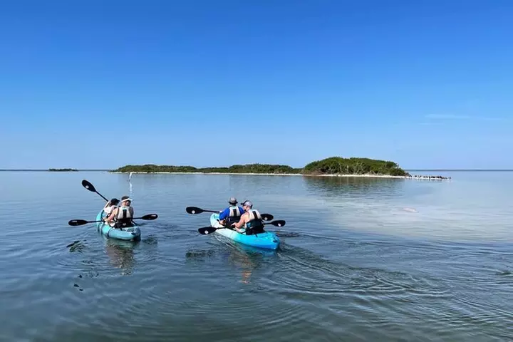 Wildlife Refuge Manatee, Dolphin & Mangrove Kayak or Paddleboarding...