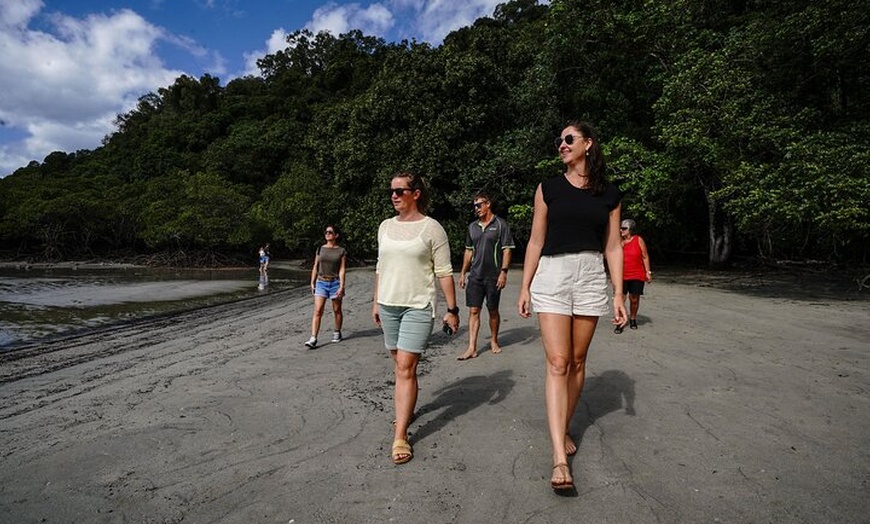 Image 13: Daintree, Cape Tribulation & River Cruise from Port Douglas