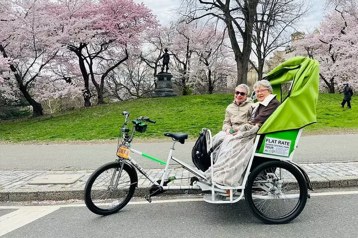 Central Park Pedicab Guided Tours