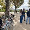 Image 2: Madrid : Destacados Tour en bicicleta con degustación de Madroño