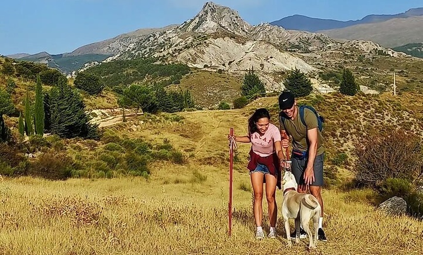 Image 18: NUEVO:Sunset Hike & Summit Sierra Nevada - Tour privado con cachorro