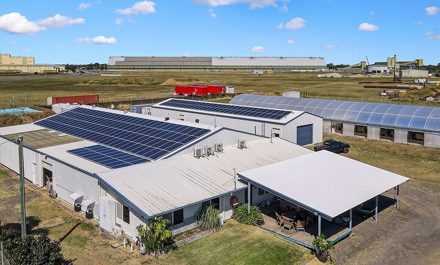 Image 9: One Hour Coral Farm Tour, Discover Australia's Marine Life