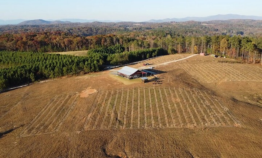 Image 3: Elijay Three Vineyards Private Wine Tasting Tour from Atlanta