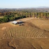 Image 3: Elijay Three Vineyards Private Wine Tasting Tour from Atlanta