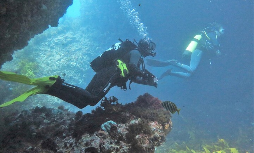 Image 5: PADI Open Water Course