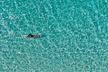 Rose Island Adventure: Snorkel, Sea Turtles, and Private Beach - Second Medium