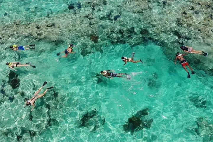 Morning Snorkeling with Breakfast and unlimited Mimosa in Key West - Primary Image