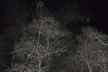 Paranormal Investigation History & Ghost Tour Old Town San Diego - Second Medium
