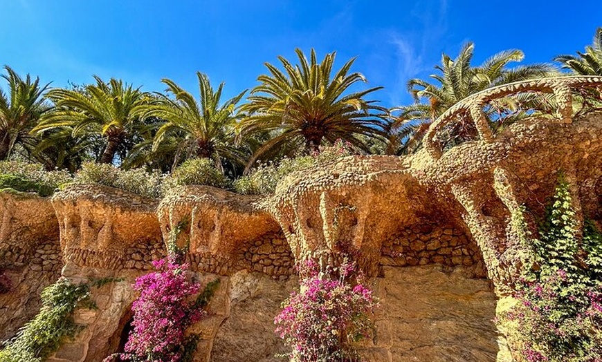 Image 12: Tour por la tarde del Park Güell