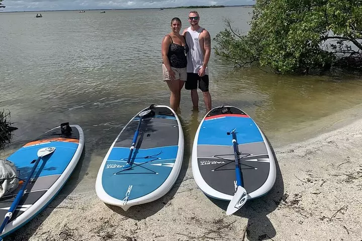 Wildlife Refuge Manatee, Dolphin & Mangrove Kayak or Paddleboarding...
