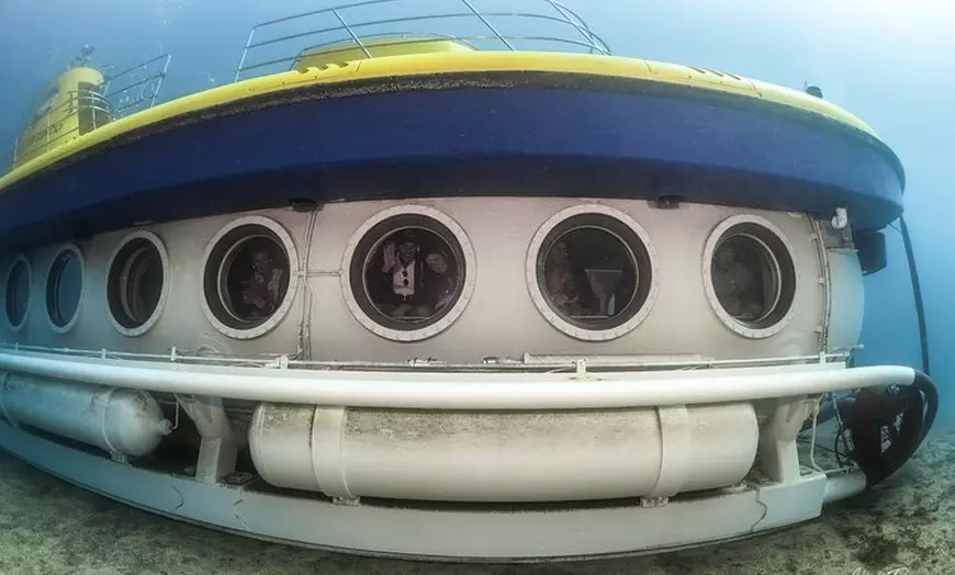 Image 8: Tour submarino Tenerife: una experiencia submarina de 1 hora