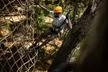 Tree Top Activity for Thrill Seekers and Adventurers in Adelaide - Image 3