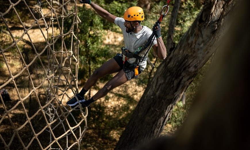Image 2: Tree Top Activity for Thrill Seekers and Adventurers in Adelaide