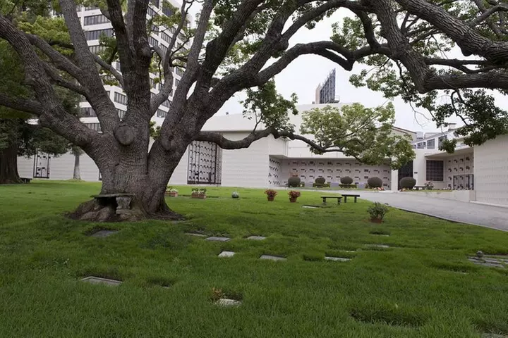 Private Full Day Los Angeles Tour with a Historian and Naturalist