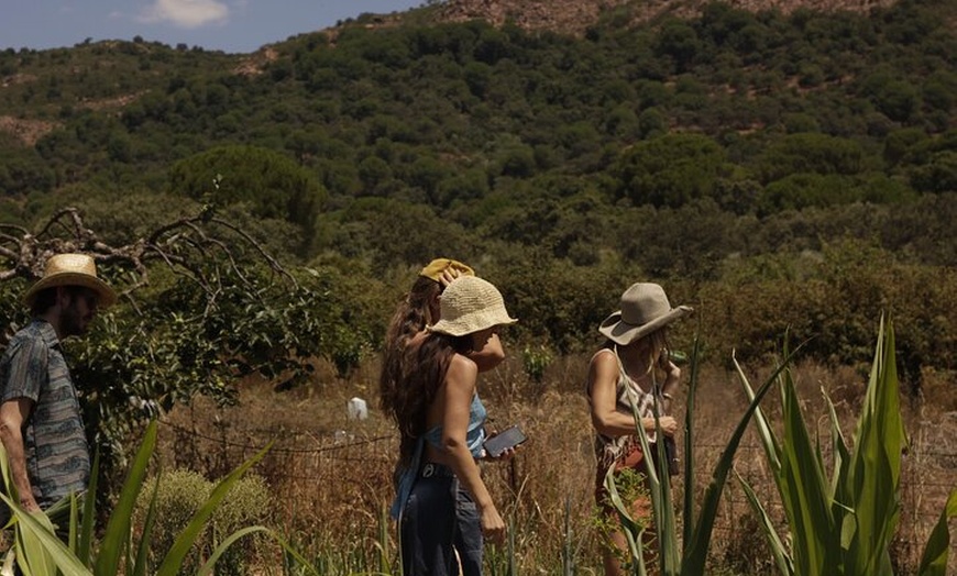 Image 8: Molino de aceite de Córdoba, vino, pasión