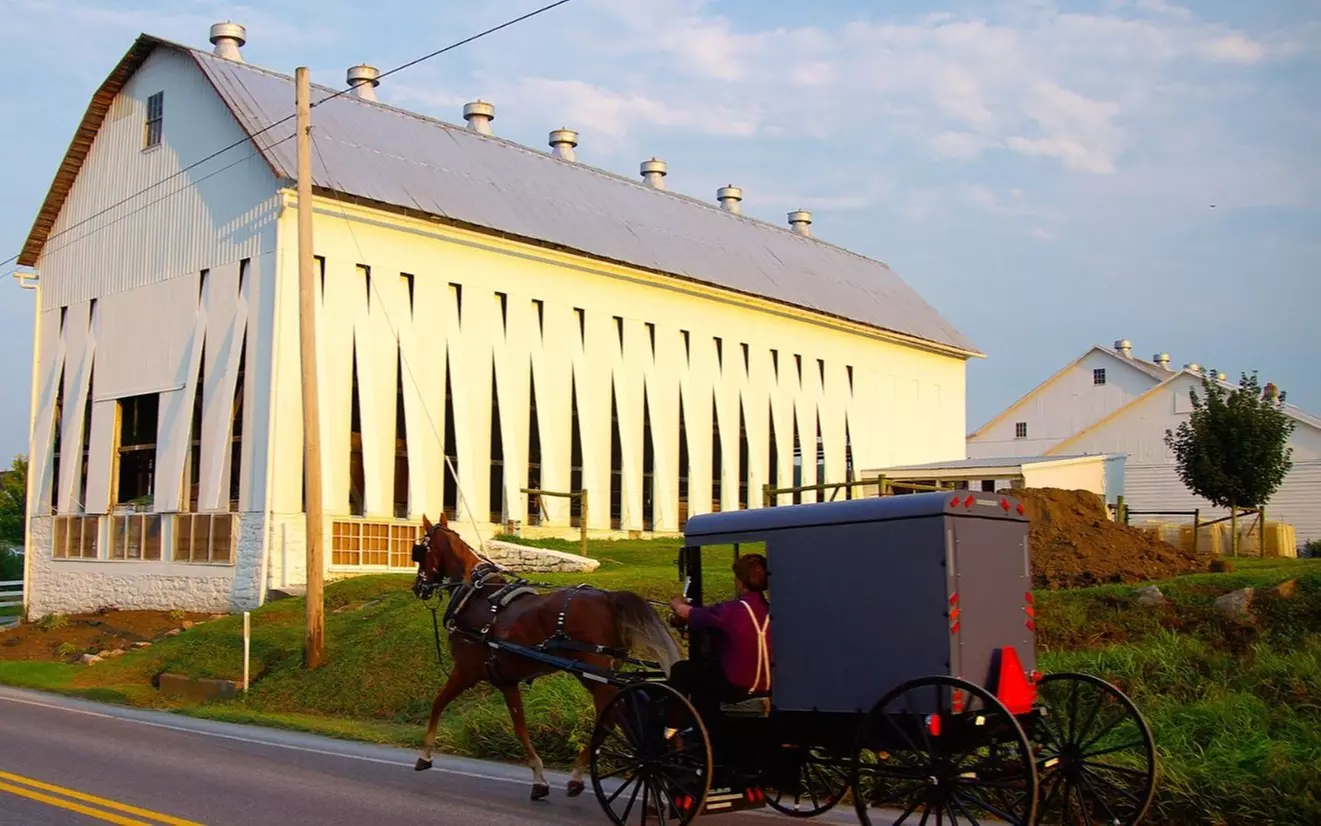 Amish Experience: Bird in Hand Farmlands Tour - Primary Image