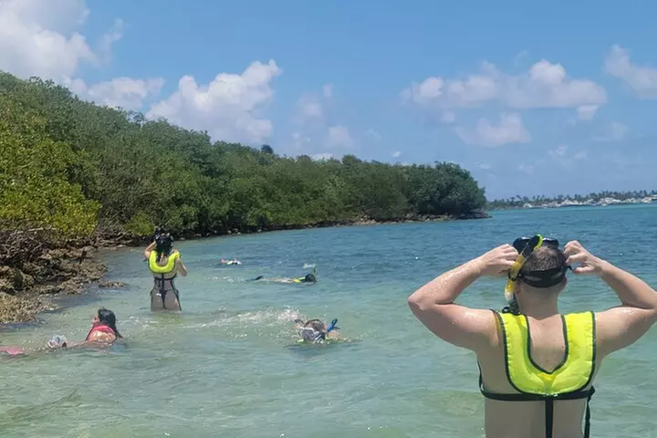 Beginner Friendly Island Snorkeling