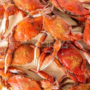 $50 For $100 Worth of Hard-Shell Crabs and Crab Cakes