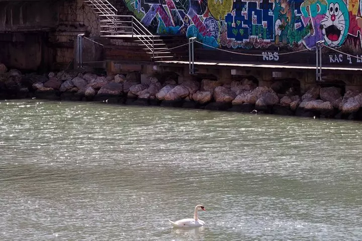 Alquiler de bicicleta de trekking: día completo las 24 horas