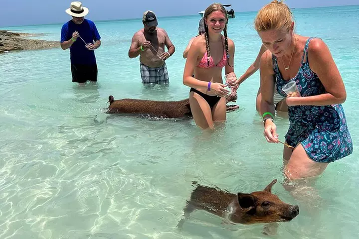 007 Private Beach Club -Swimming Pigs, Snorkeling, Lunch, Drinks - Primary Image
