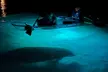 Three Sisters Sunset and Glow Clear Kayak & Wildlife Tour - Second Medium