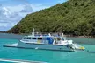 Culebra Snorkeling Tour by Catamaran from Fajardo - Second Medium