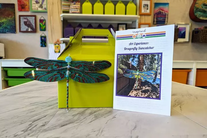 Dragonfly Suncatcher Art Kit in Estes Park