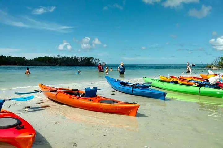Kayak Adventure of Shell Key Preserve & Island with a Local