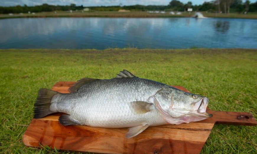 Image 7: Hook-A-Barra Fishing and Farm Activity