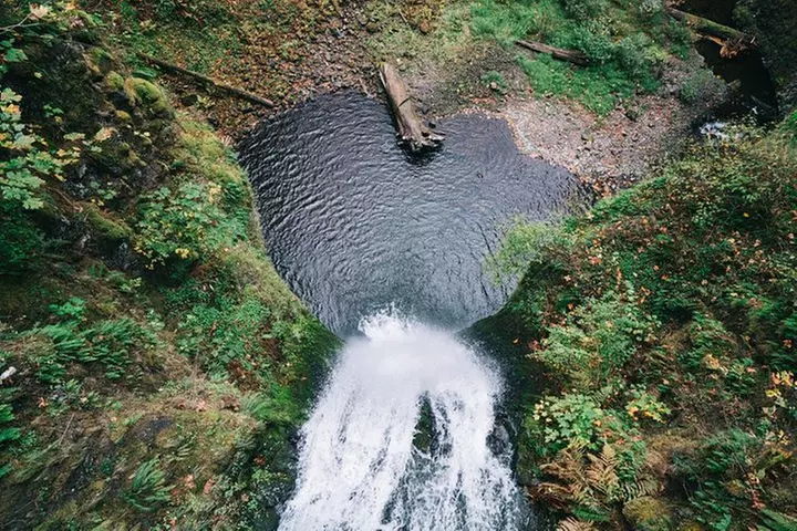 Multnomah Falls and Columbia River Gorge Waterfalls Tour Morning