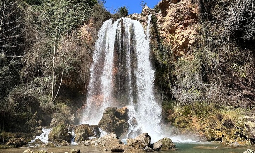 Image 2: Descubre la naturaleza mágica de Valencia