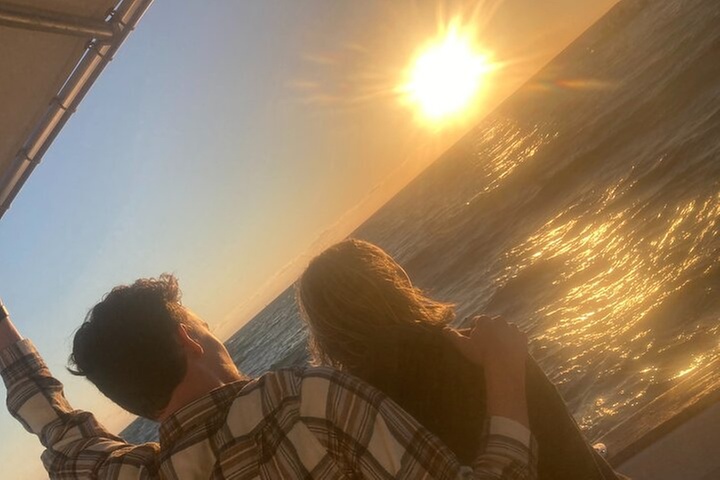 Private 2-Hour Dolphin and Sightseeing Tour