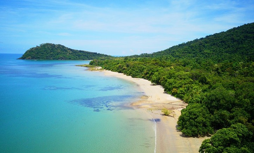 Image 8: Cape Tribulation, Mossman Gorge, and Daintree Rainforest Day Trip