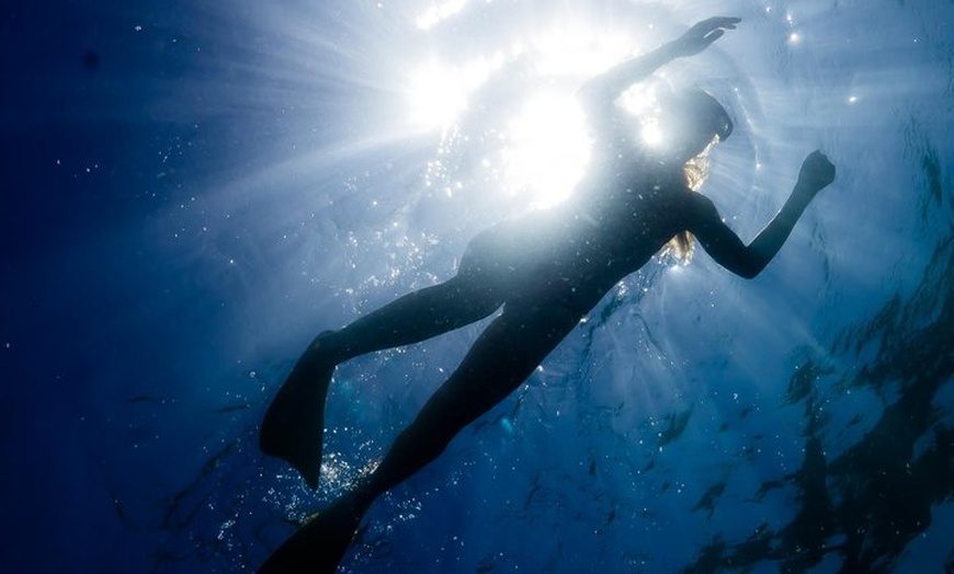 Image 11: Ningaloo Reef Snorkel and Wildlife Adventure