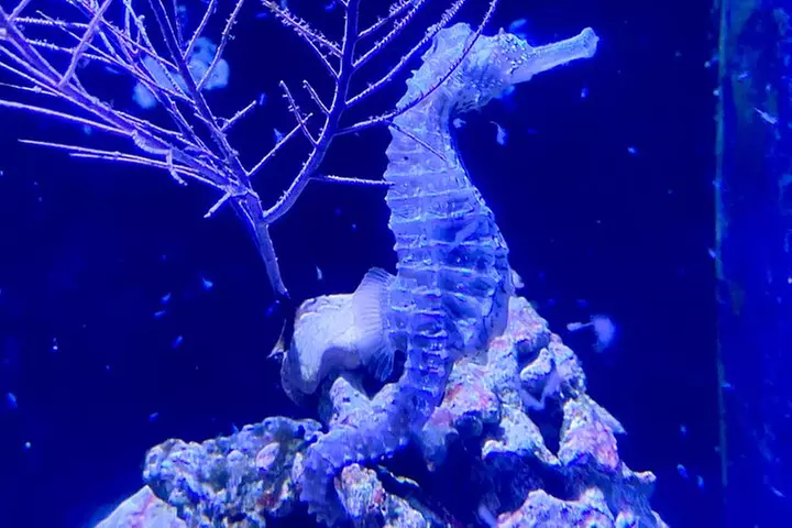 Ft. Lauderdale to Key West Day Trip Quality Day Tours