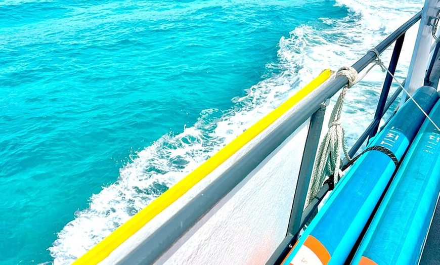 Image 50: Excursión de un día a Illetas en Formentera con Paella y Bebida