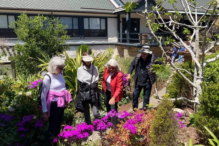 Guided 2-Hour Walking Tour in Carmel by the Sea