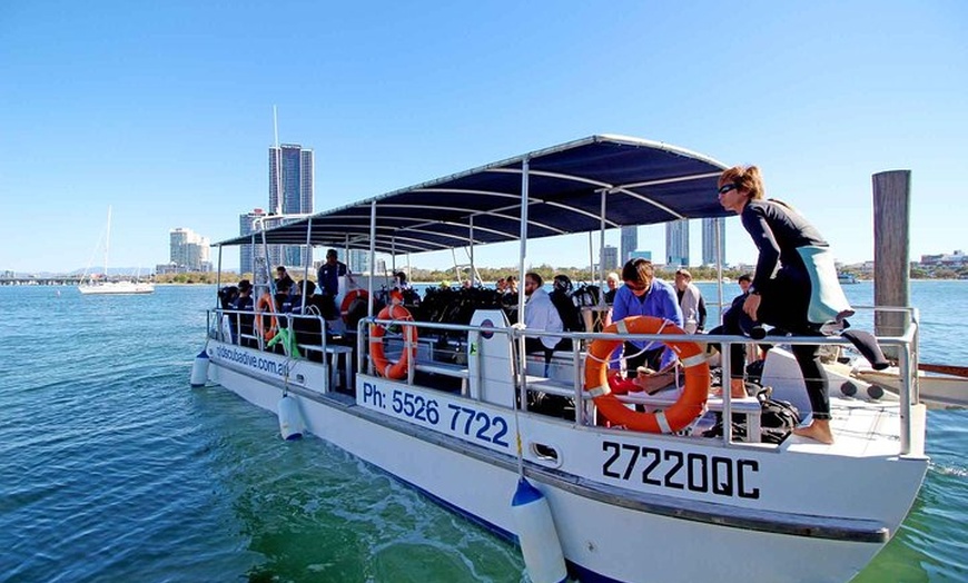 Image 3: Wave Break Island Snorkel Tour on the Gold Coast