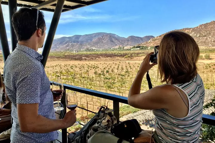 Luxury Private Wine Tasting Tour to Guadalupe Valley from San Diego