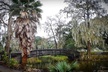 New Orleans Sightseeing City Tour - Second Medium