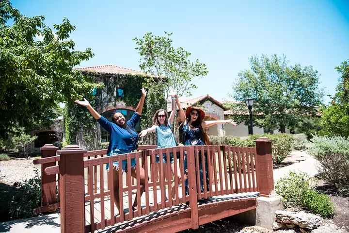 Half-Day Hill Country Wine Shuttle From Austin