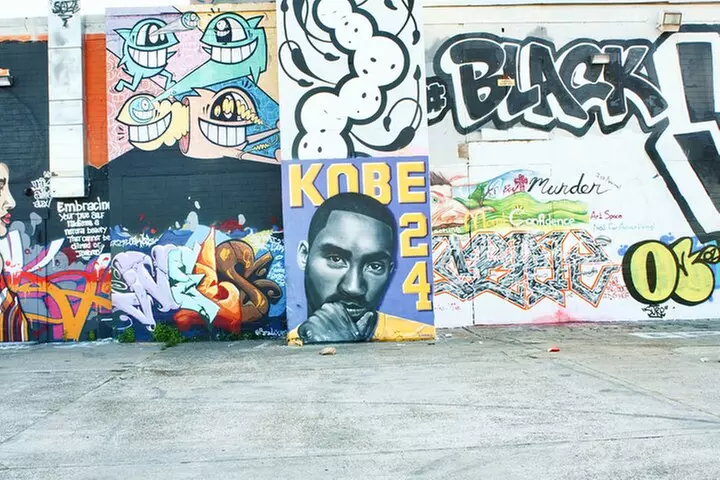 75 Min Best of Houston tour Small-Group