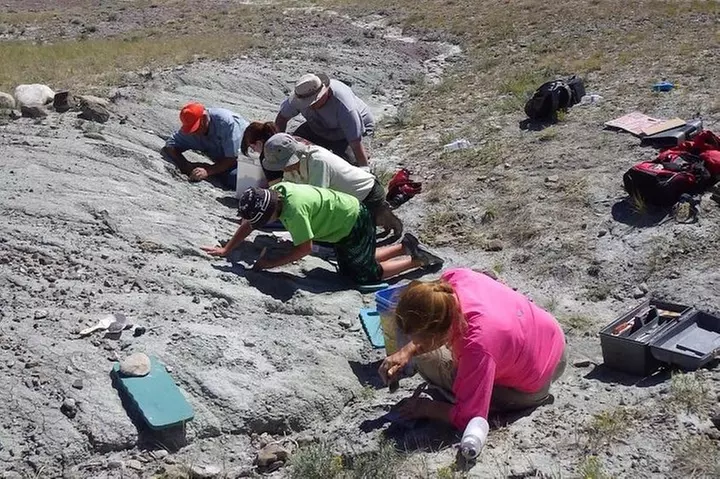 Full-Day Montana Dinosaur Fossil Dig Expedition - Primary Image
